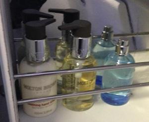 Just add shower for the full spa experience