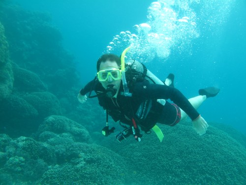 Diving the Great Barrier Reef